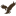 Icon for mymemorizer.com