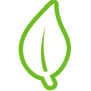 Icon for mysiteauditor.com