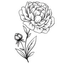 Icon for mysweetandsaucy.com