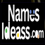 Icon for nameideass.com
