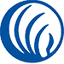 Icon for nami-sat.org