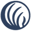 Icon for namica.org