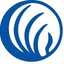 Icon for namimd.org