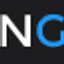 Icon for newergadgets.com