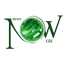 Icon for newsnowgh.com