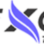 Icon for nexgentaxes.com