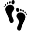 Icon for nextfewsteps.com