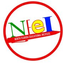 Icon for nfei.org