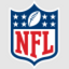 Icon for nfljersey.co