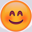 Icon for nickfy.com