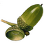 Icon for notesofoak.com