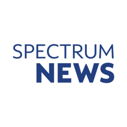 Icon for ny1.com