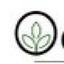 Icon for oasiswecare.com