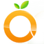 Icon for ocsef.org