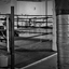 Icon for ohiostateformerboxers.org