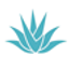 Icon for optionsdoors.com