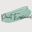 Icon for paintexplained.com