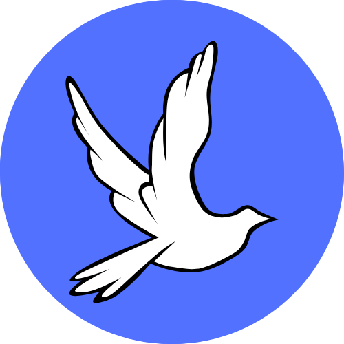 Icon for pakhie.com
