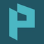 Icon for pallyroofing.com
