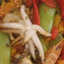Icon for pancomido.wordpress.com