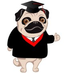 Icon for passthemathreview.com