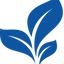 Icon for pavpub.com