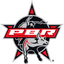 Icon for pbr.com