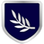 Icon for phoenix-attorney-lawyer.com