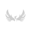 Icon for phoenixcustomgates.com