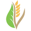 Icon for plant4harvest.com