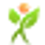 Icon for plantscraze.com