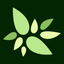 Icon for plantwild.com