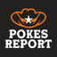 Icon for pokesreport.com