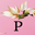 Icon for pressonparadise.com