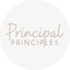Icon for principalprinciples.net