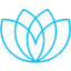 Icon for prodigyfinance.com