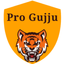 Icon for progujju.com