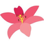 Icon for qua36.com