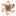 Icon for qualityandinnovation.com