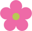 Icon for quizlady.com