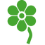 Icon for rachelrabbitwhite.com