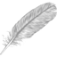Icon for raisingdv.com