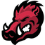 Icon for razorbackswire.usatoday.com