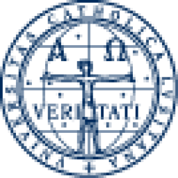 Icon for repositorio.ucp.pt