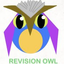 Icon for revisionowl.wordpress.com