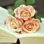 Icon for rosesandthornsbooks.home.blog
