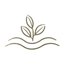Icon for rusticscapes.com