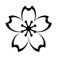 Icon for sagecalc.com
