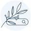 Icon for saradoesseo.com