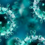 Icon for sbmicrobiologia.org.br